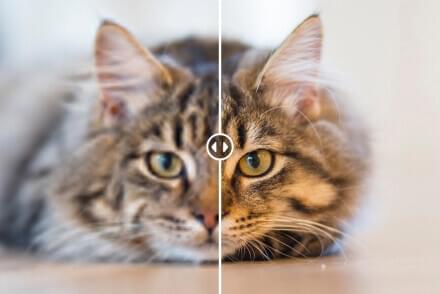 Trình nâng cấp hình ảnh AI